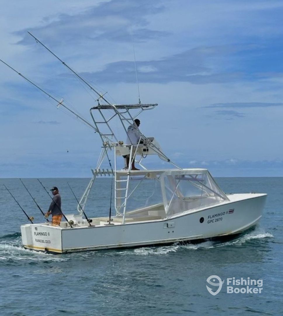 Boat Image