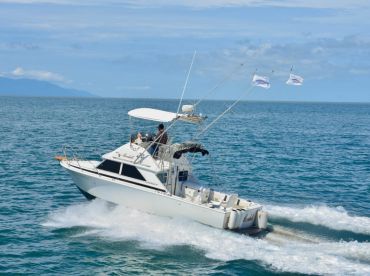 PV Hook Up – Punta Mita Fishing Charter thumbnail