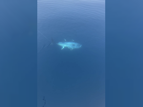 Charter Image