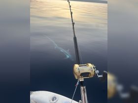 Charter Image
