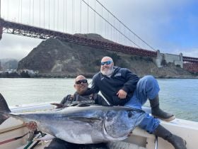 Addictive Sport Fishing
