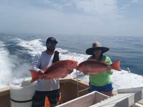 Charter Image