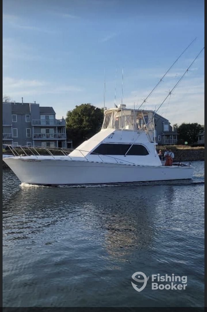 Boat Image
