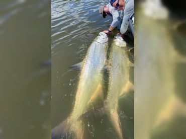 FishNSea Charters—Boston Whaler 22’ thumbnail