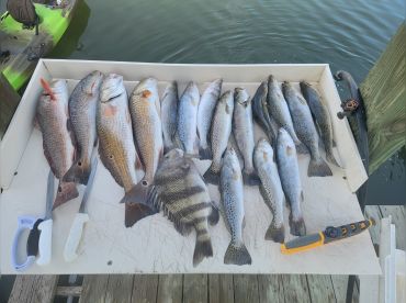 James Regini Guide Service