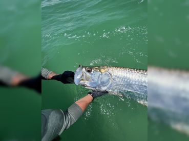 Beyond Fishing Charters – Tampa