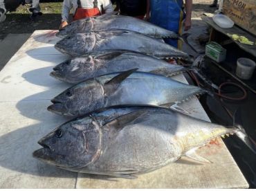 Greylight Salmon Fishing – Crescent City