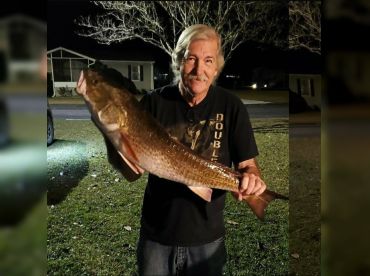 Southern Roots Alabama thumbnail