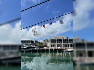 Sea Monkey Charters thumbnail