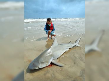 Kids Surf Fishing Outfitters thumbnail