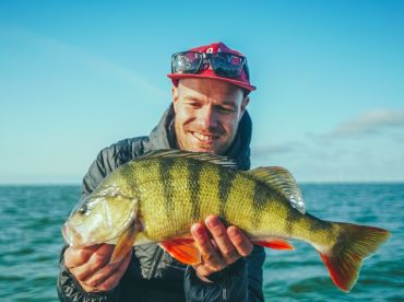 Amsterdam Predator Fishing Perch Pike Zander thumbnail