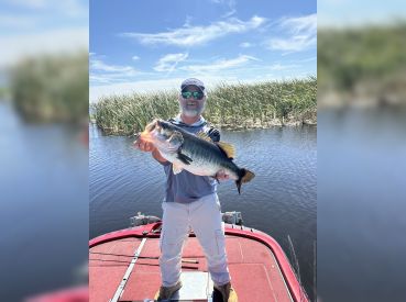 Forever Phishing LLC