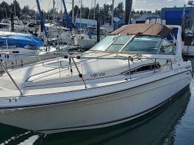 Lazydayz Charters & Adventures