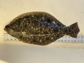 Charter Image