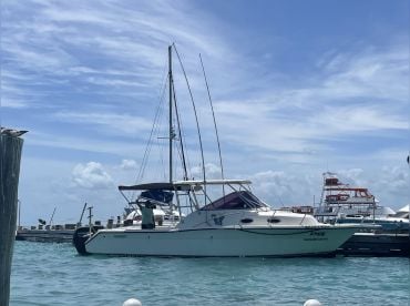 Enrique's Unique Dives thumbnail