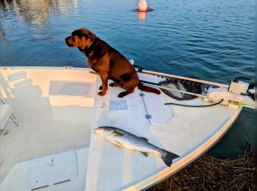 Little Jessie James thumbnail