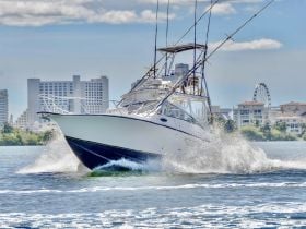 Fishing Charters in Cancun – ALBEMARLE 0PEN35
