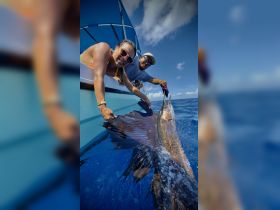Fishing Charters in Cancun – SUPER PANGA 27