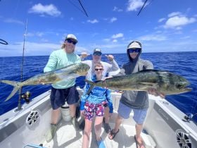 Charter Image