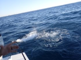 Charter Image