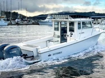 Hook'in Hogs Fishing Charter  DEFIANCE GOL