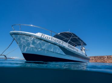 Fernando Baja Tours – 