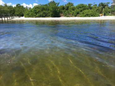 Maxed Out Charters-North Captiva