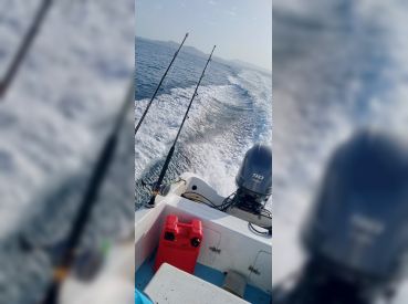 Henry The King Fisher thumbnail