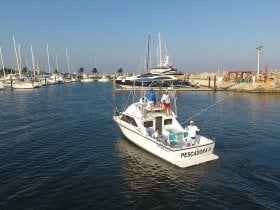 Charter Image
