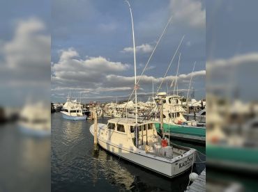 Bloodline Charters thumbnail