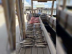 Inshore/Nearshore Fishing in Venice