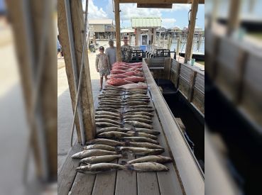 Inshore/Nearshore Fishing in Venice