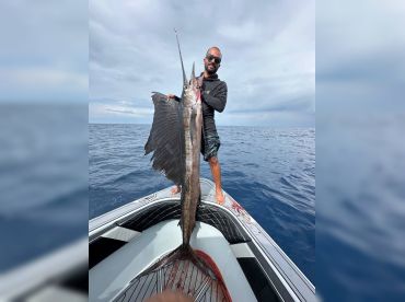 Knight At Sea thumbnail