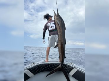 Knight At Sea thumbnail