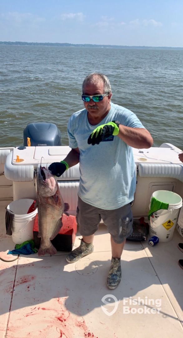 Black Duck Outfitters (Baltimore) Updated 2023 Prices FishingBooker