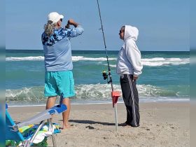 Learn to Rig and Bait