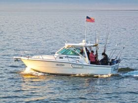 Charter Image