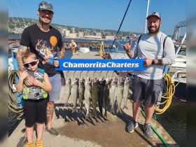 Charter Image