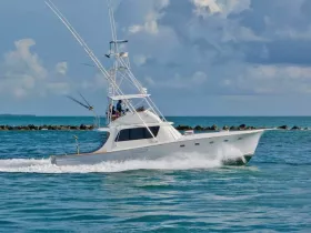 Charter Image