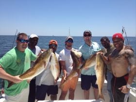 red drum