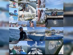 COME SNORKLE,FISH,DIVE,WATCH THE SUNSET WITH US!