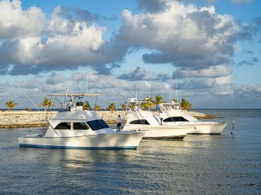 Fishing Machine Punta Cana thumbnail