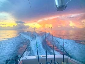 Charter Image