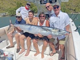 Charter Image