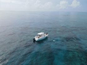 Charter Image