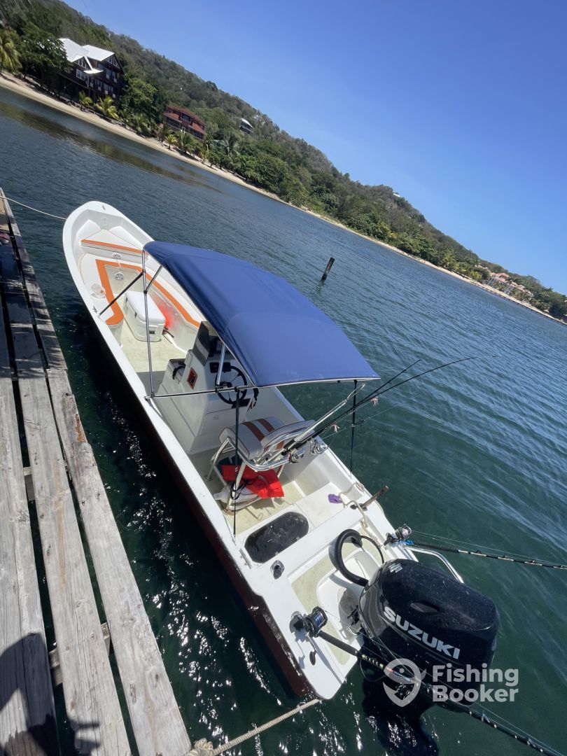 Boat Image