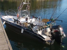 We have the boat on a trailer, and here we go to the sea - Salmon trolling outside of Stockholm!