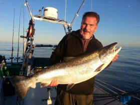 This day we caught 8 big Salmon by trolling, all between 10-17 kg