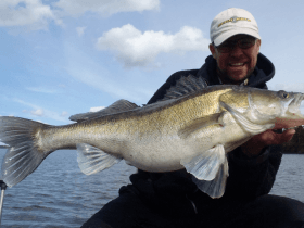 Big Zander from the Quintrex boat, when we go pelagic fishing with jigs
