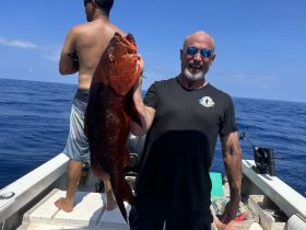 Charter Image